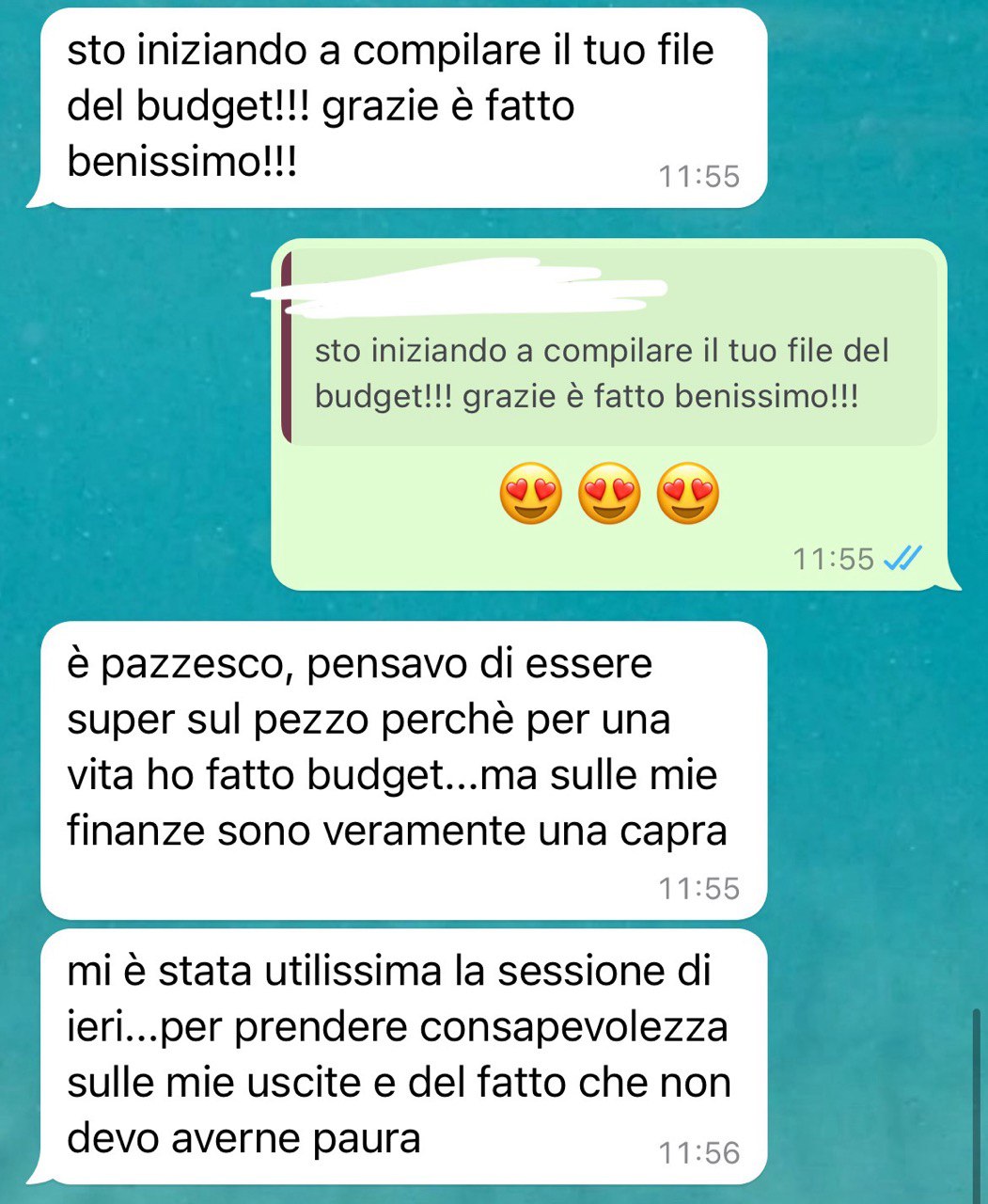 FRANCESCA REC BUDGET